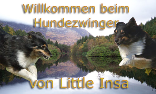 Insa-Schottland